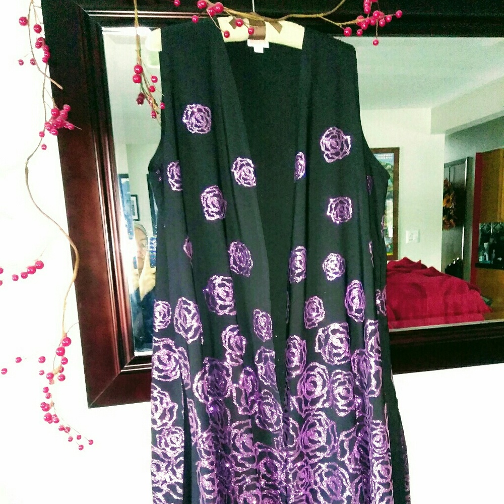 LLR Joy Vest worn 1x